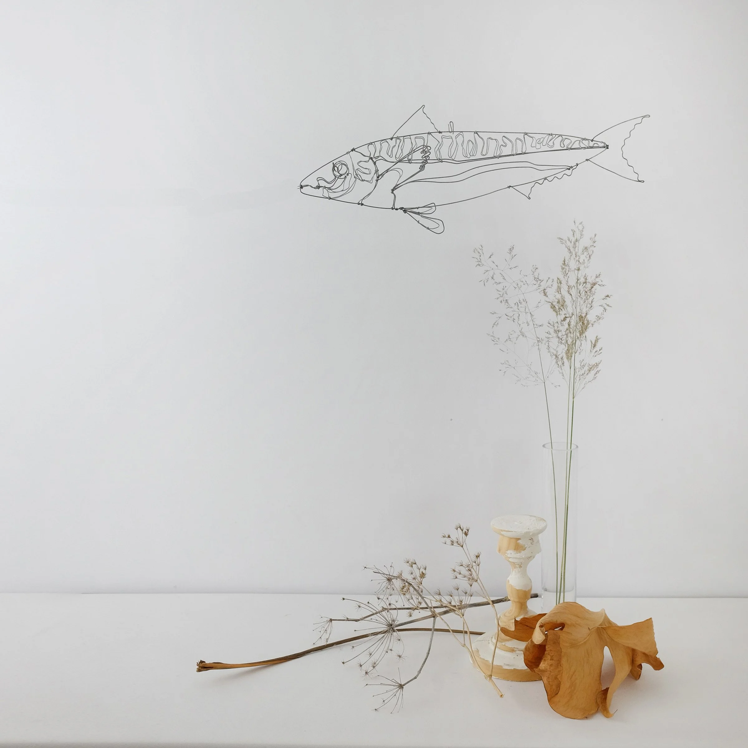 maquereau3asw.jpg