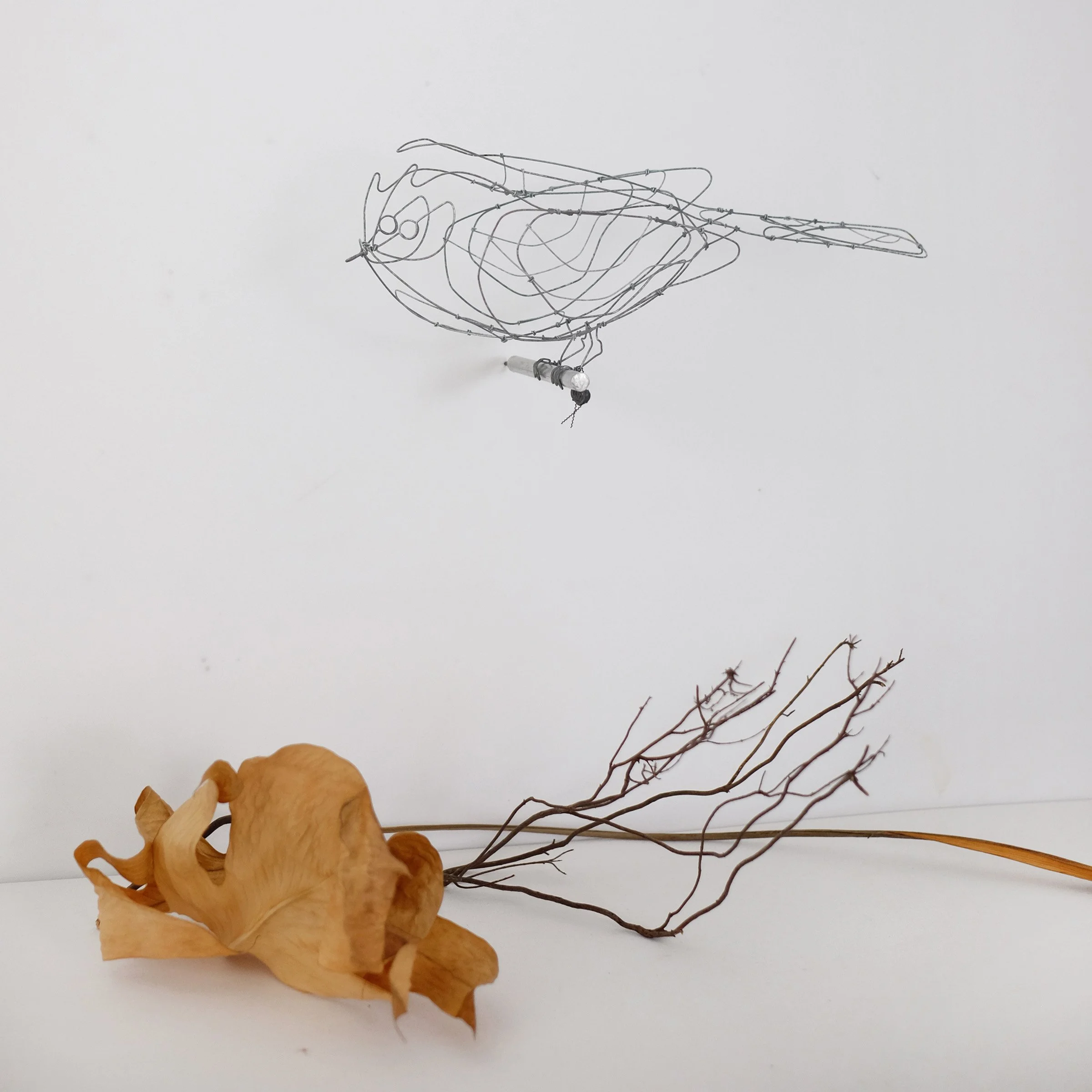 oiseau V3bsw.jpg
