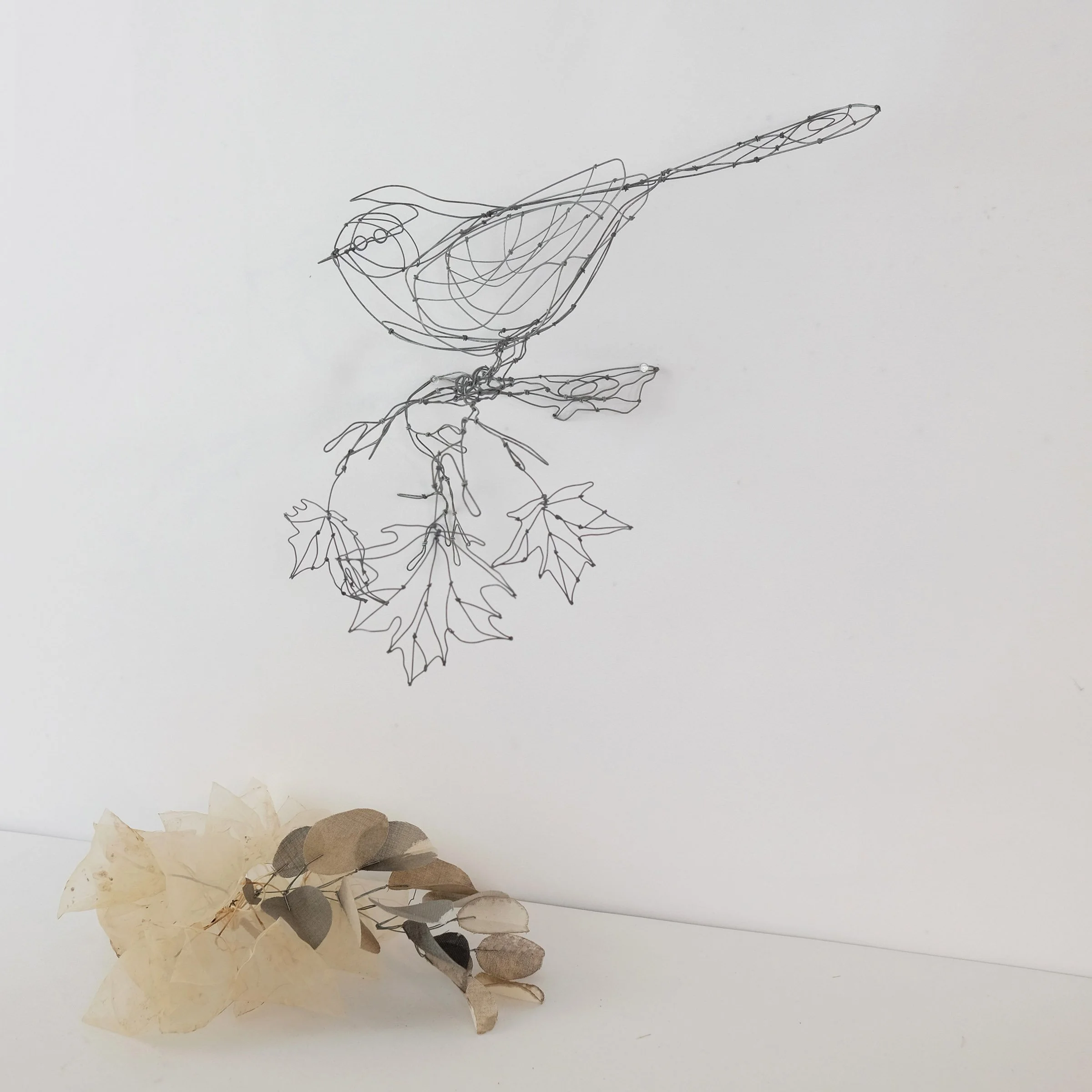 oiseaubranche12bsw.jpg