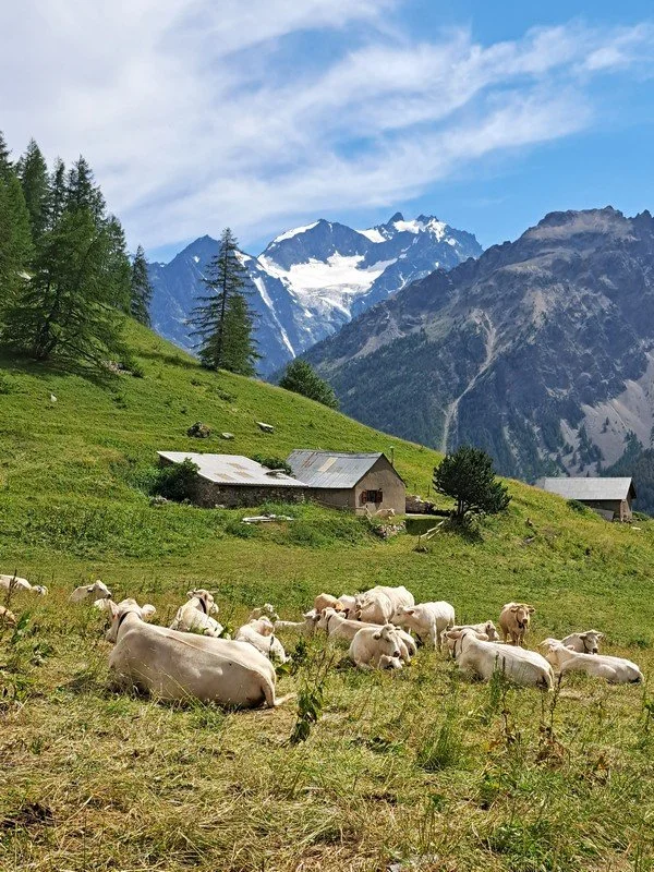 micro aventure en clarée 2025_10.jpg