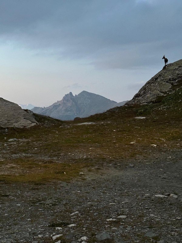 sur les sentiers de chamonix zermatt la haute route.jpg