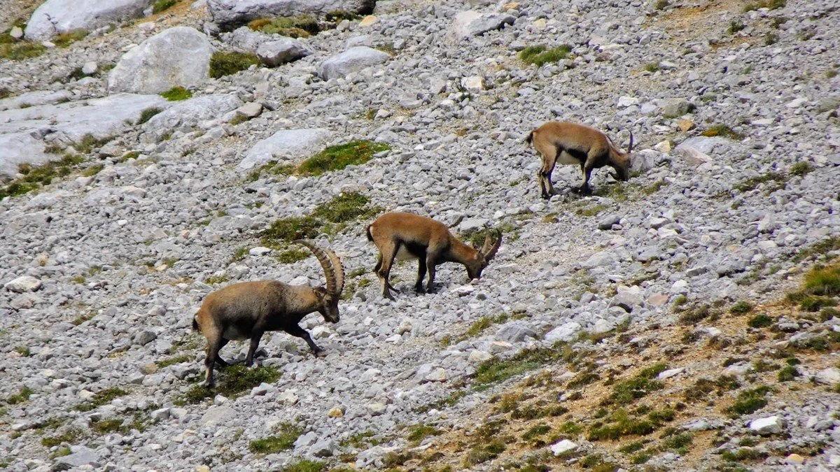 Alta via la traversée des dolomites _7.jpg