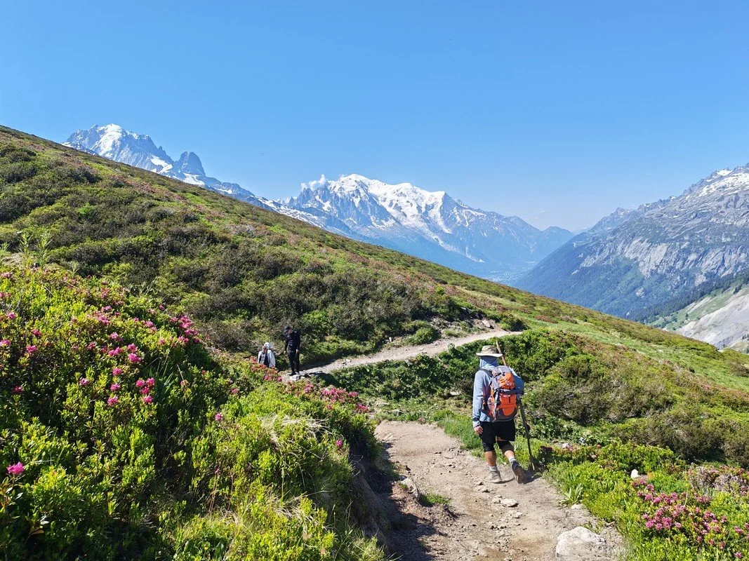 tour du mont blanc juin .jpg