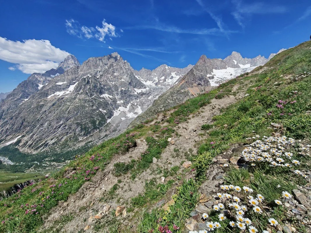 tour du mont blanc juin _2.jpg