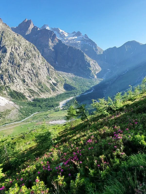 tour du mont blanc juin _6.jpg