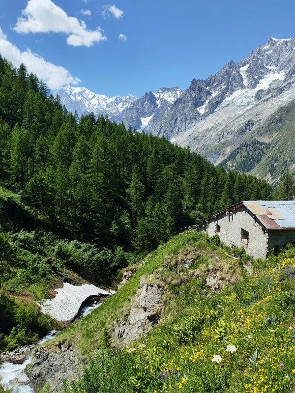 tour du mont blanc juin _8.jpg