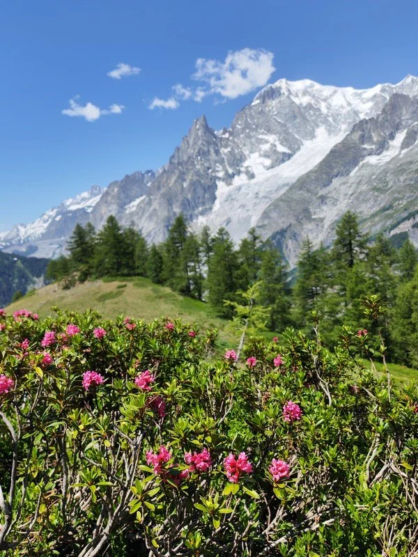 tour du mont blanc juin _9.jpg