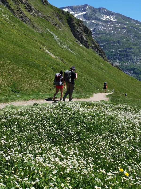 tour du mont blanc juin _12.jpg