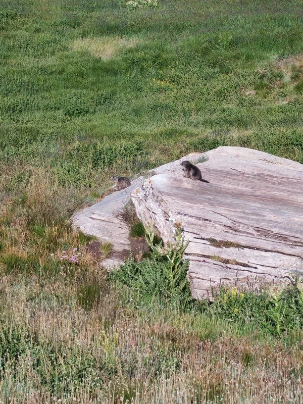 micro aventure dans le Queyras _10.jpg