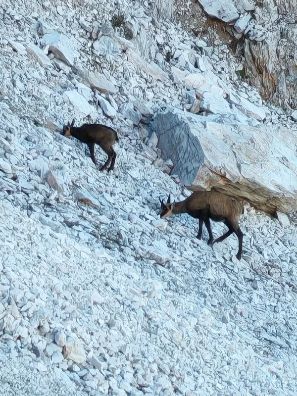 Randonnée dans les Dolomites traversée par Alta Via_13.jpg
