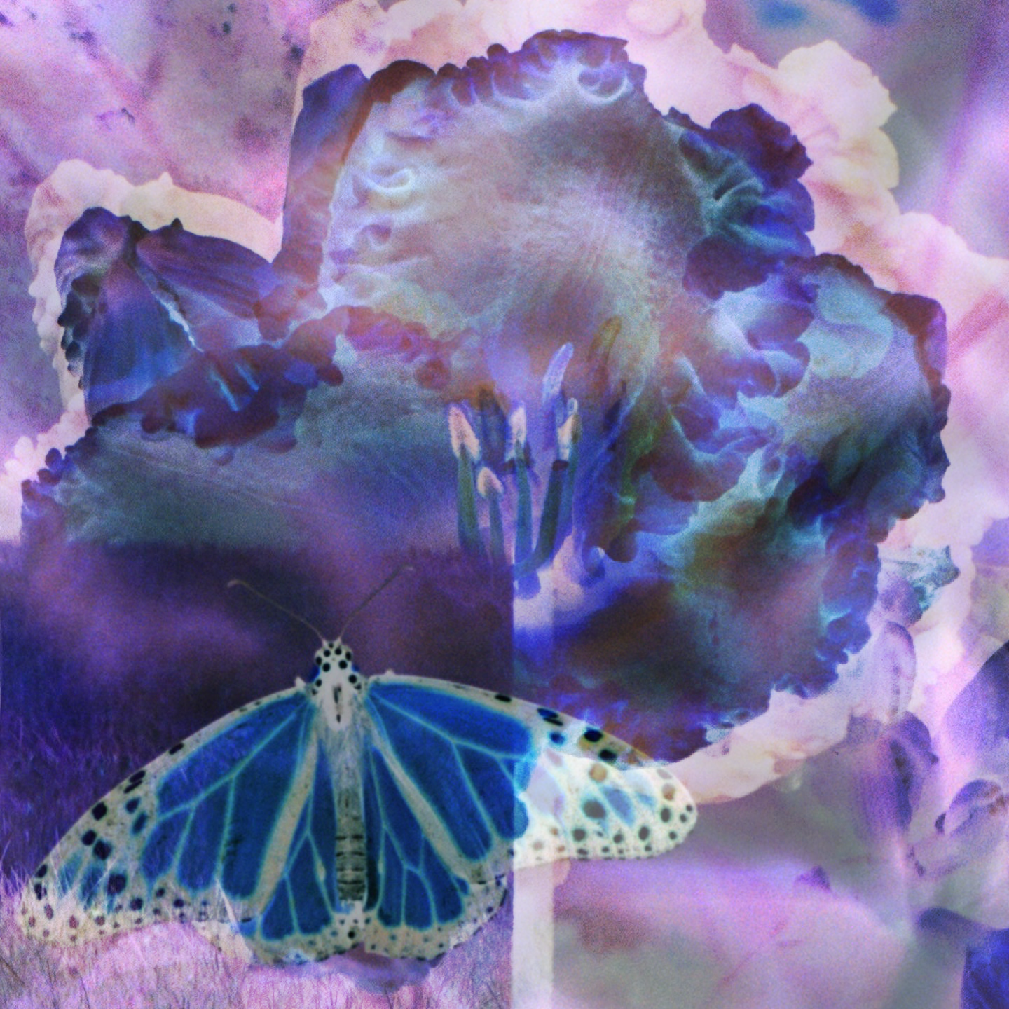 76678590-F8CA-4397-ADDB-191F8666B51D.png