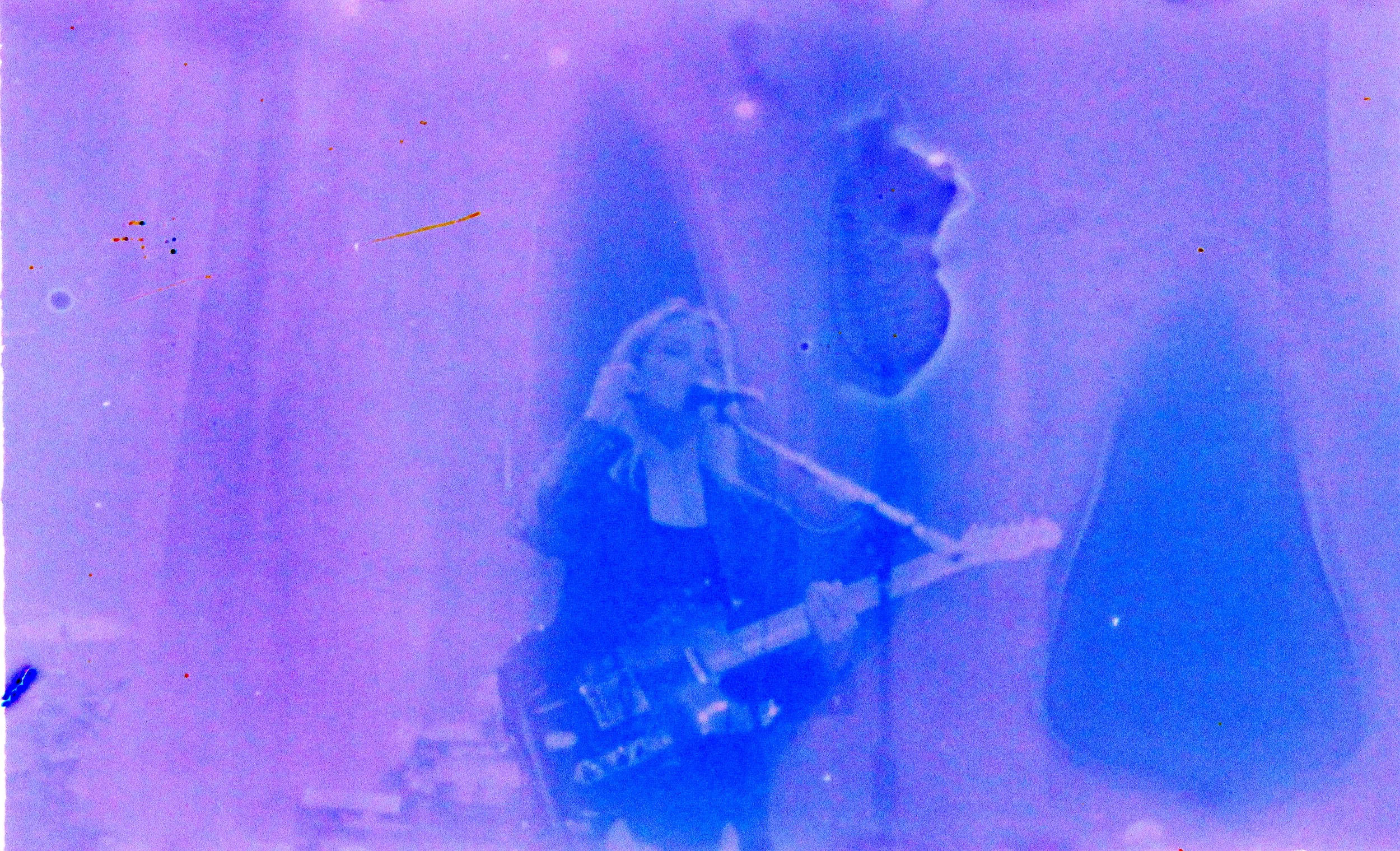 Wolf Alice