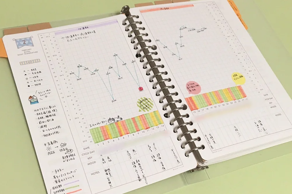 基礎体温表で自分の体のことを知ろう Satomi Journal