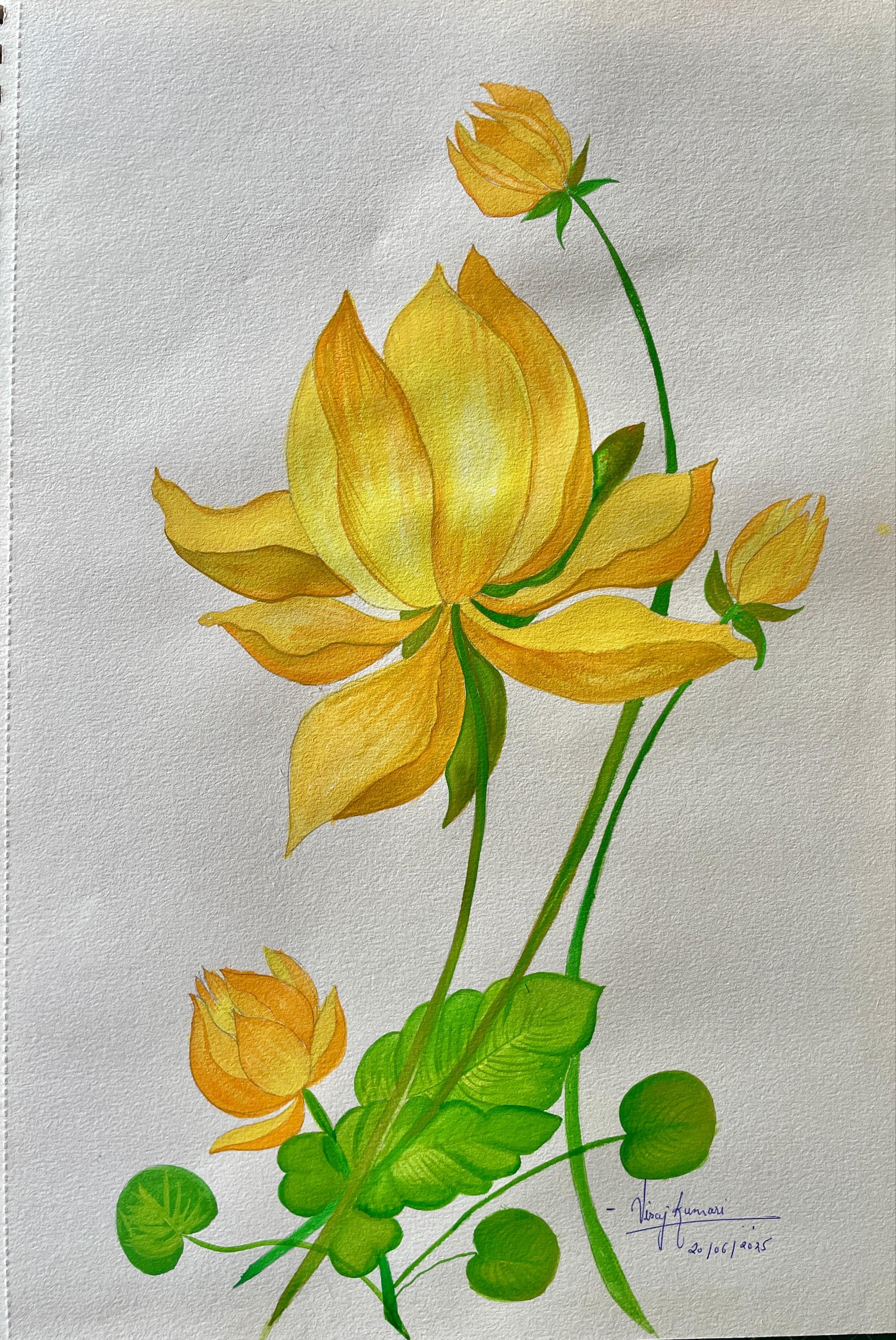 Yellow Lotus Lilly