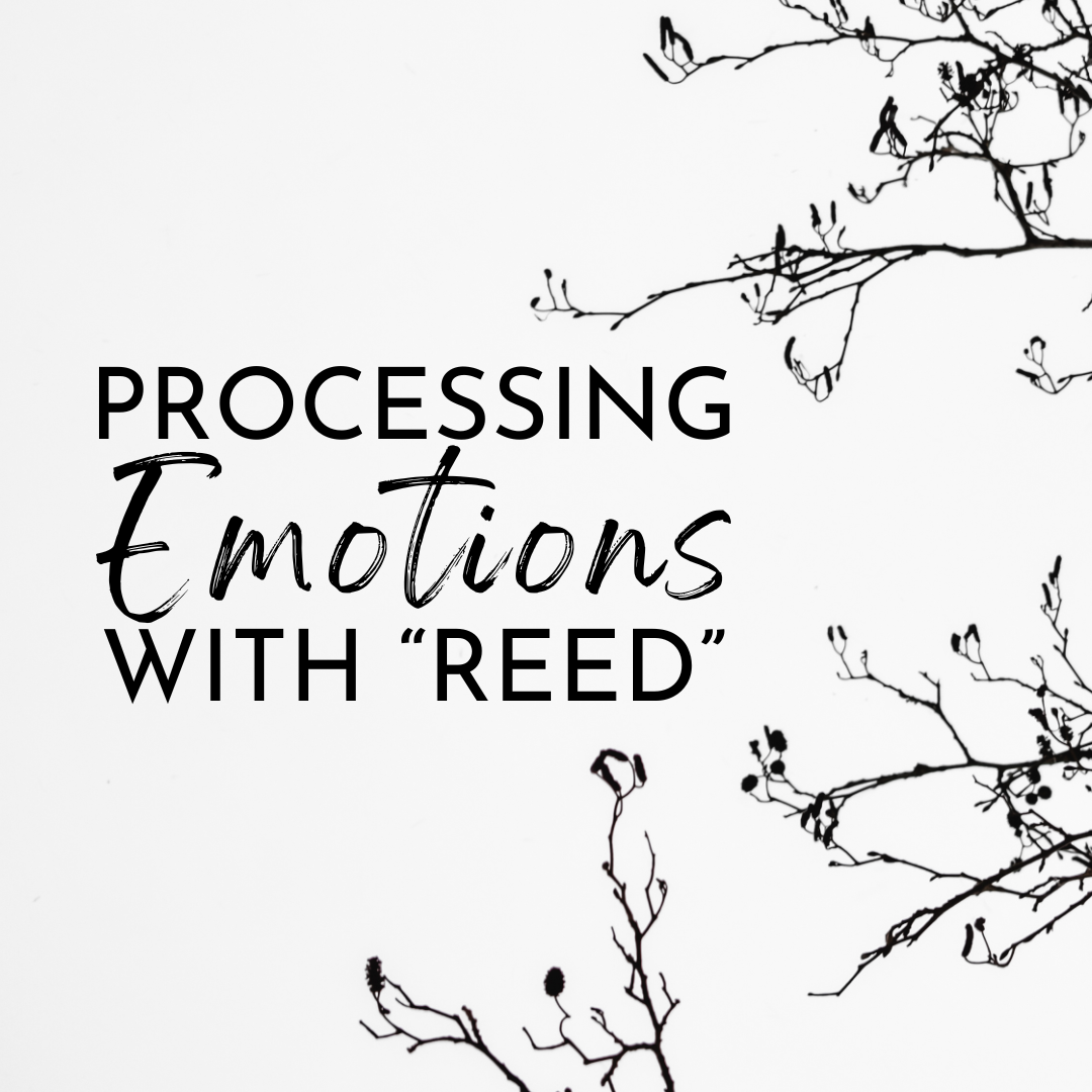Renewing of the Mind