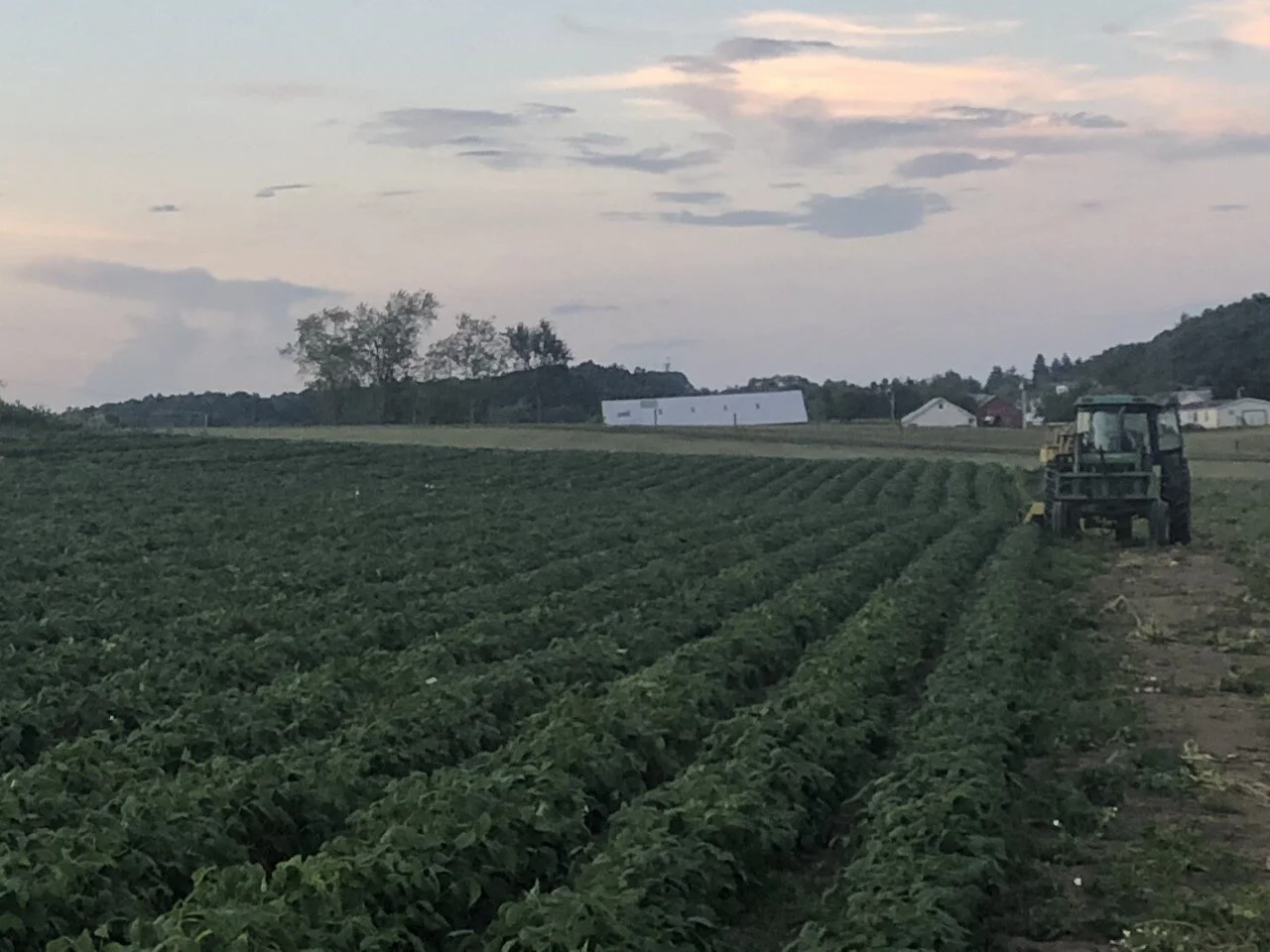 thumbnail_Image (3).jpg