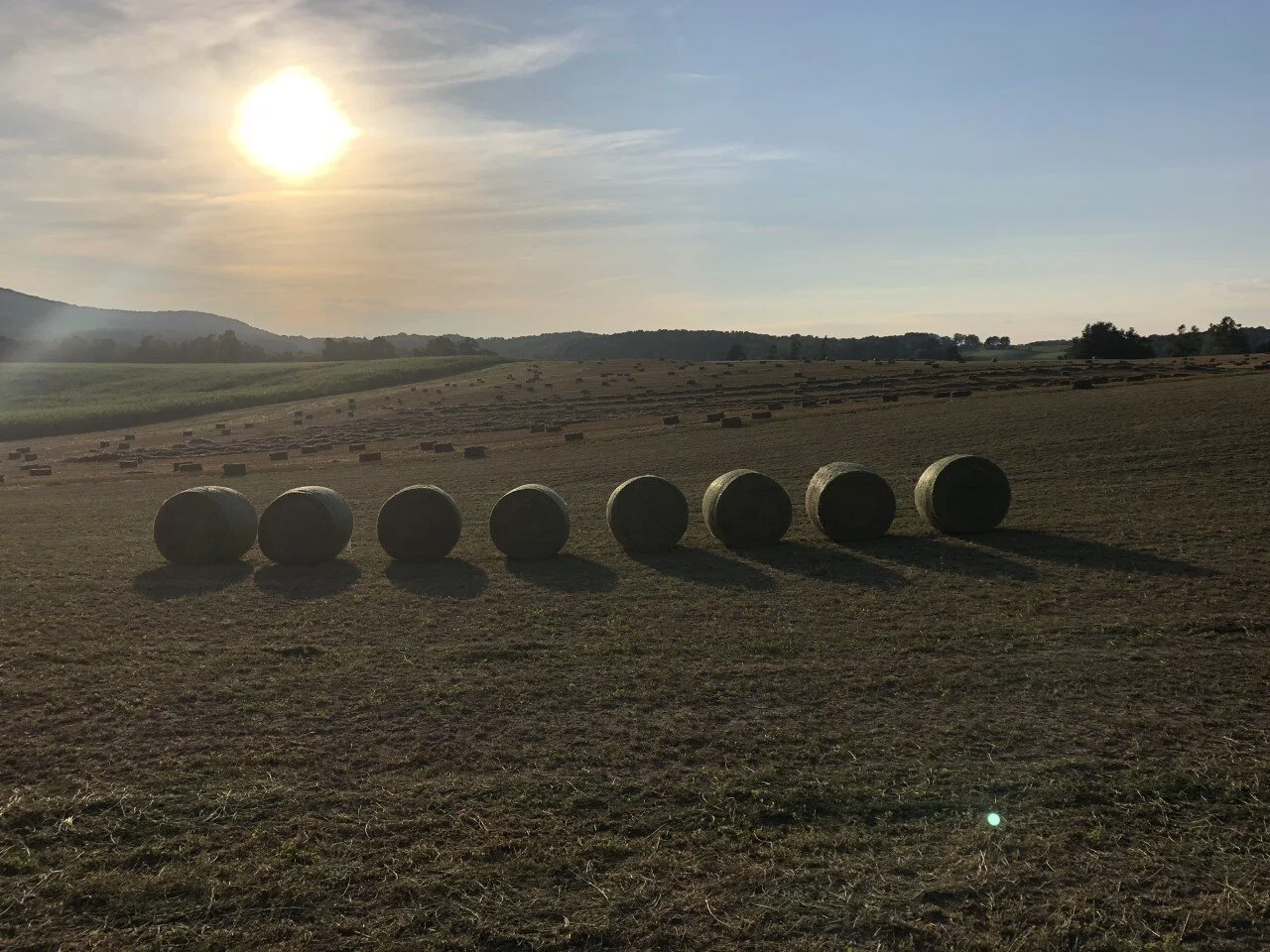 Hay field.jpg