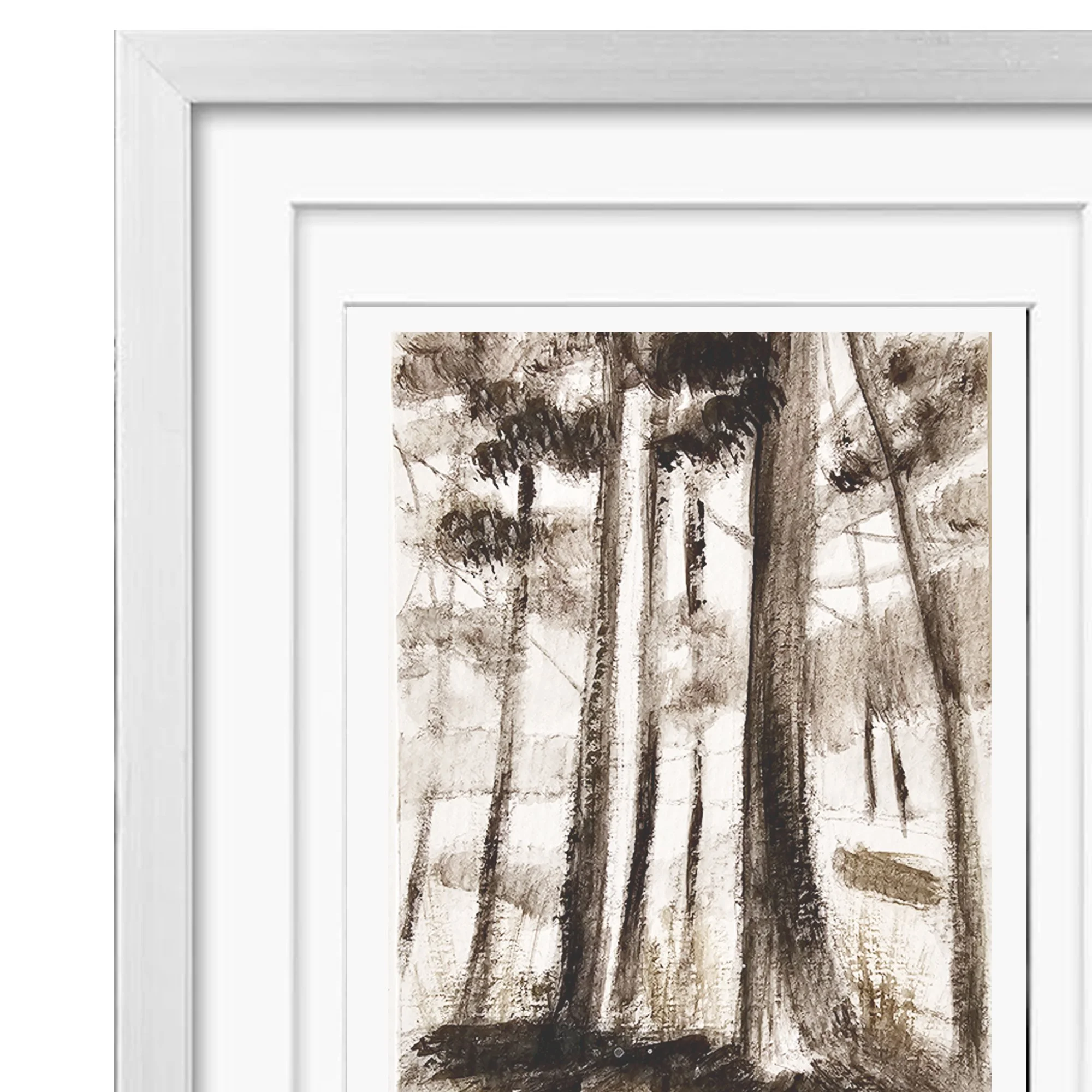 A View Through The Trees