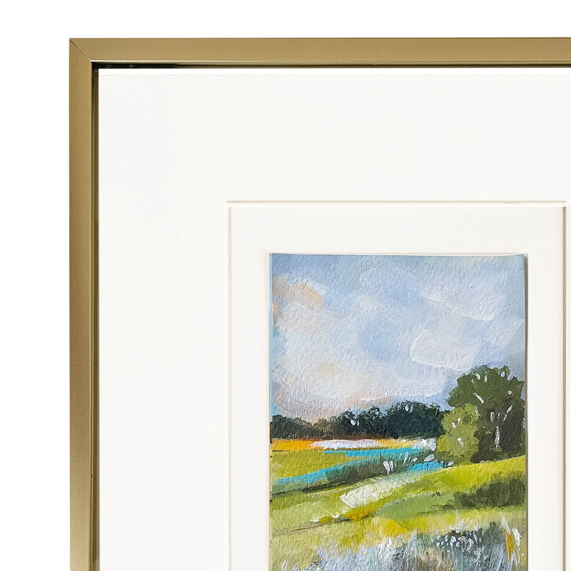 Afternoon Glow_Close copy.jpg