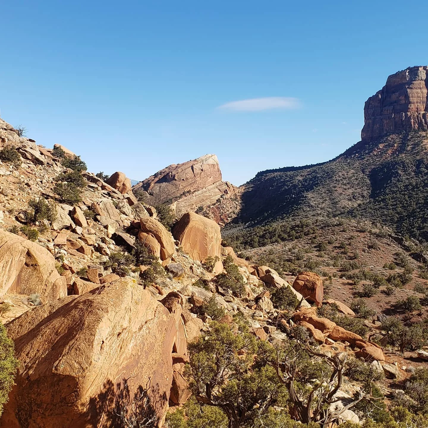 No snow here. Quick hike over lunch.