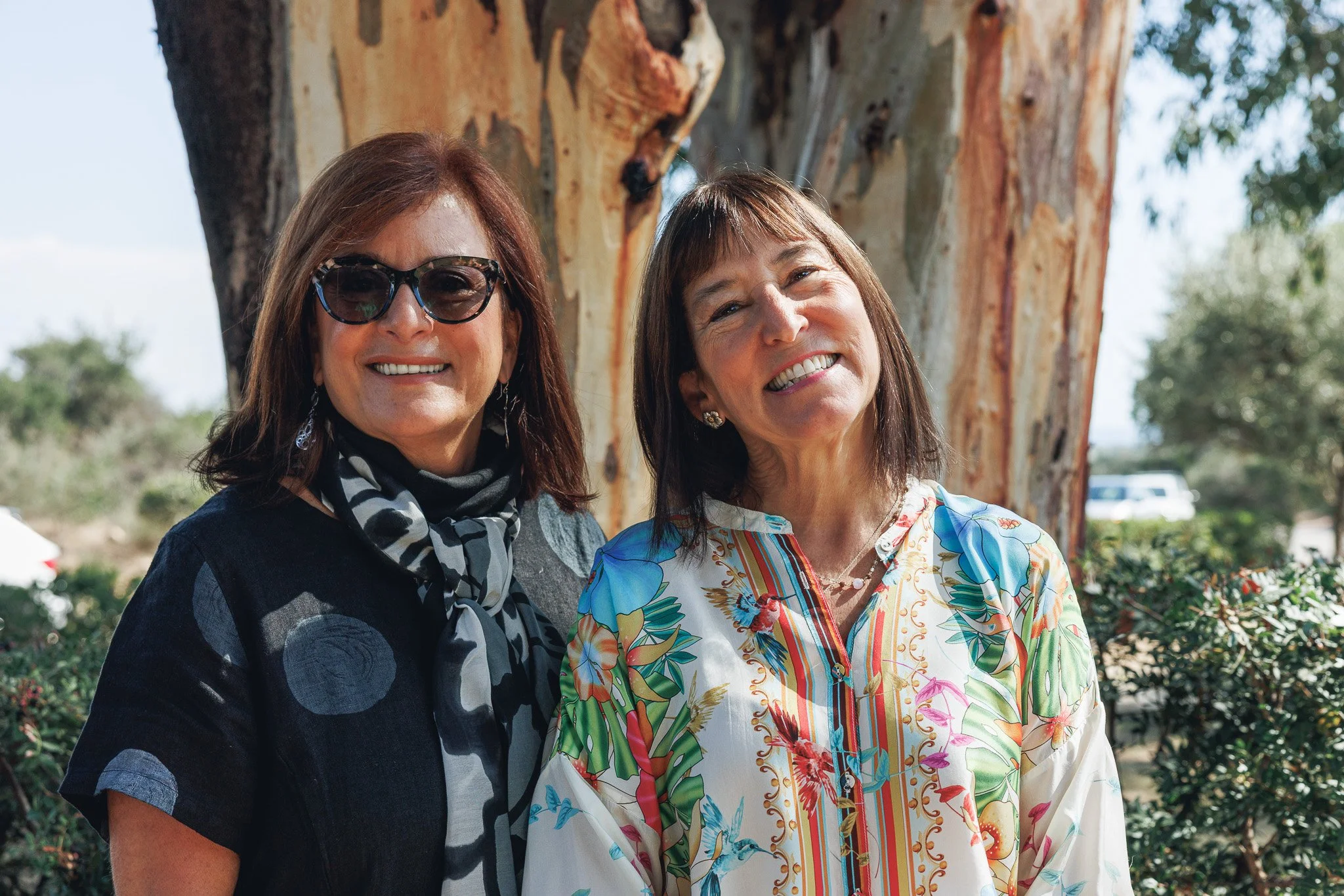 THE RED BIRD TAKES FLIGHT: THE JOURNEY FROM MY HEAD TO MY HEART