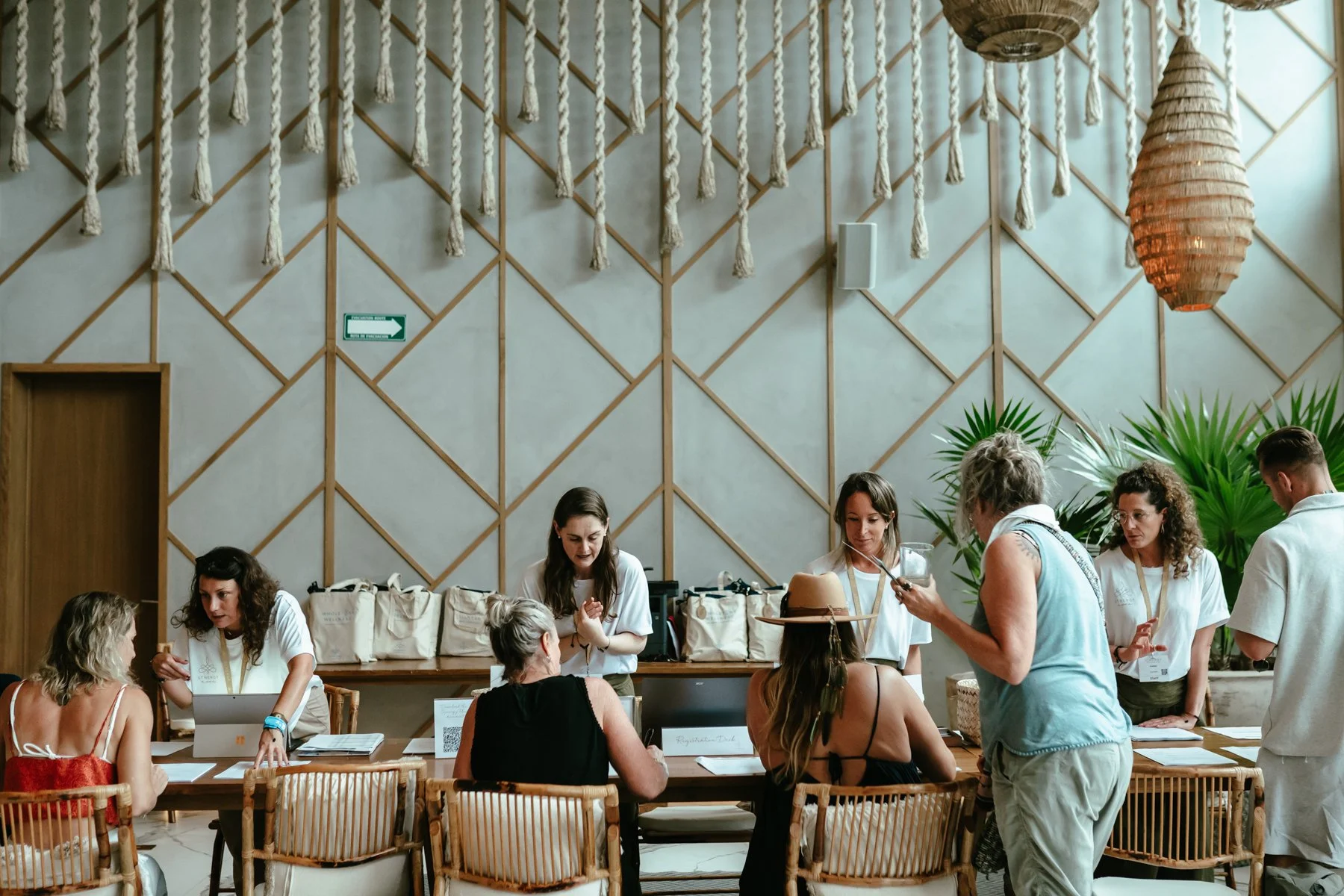 synergy-lilibreton-LR-07277 (1).jpg