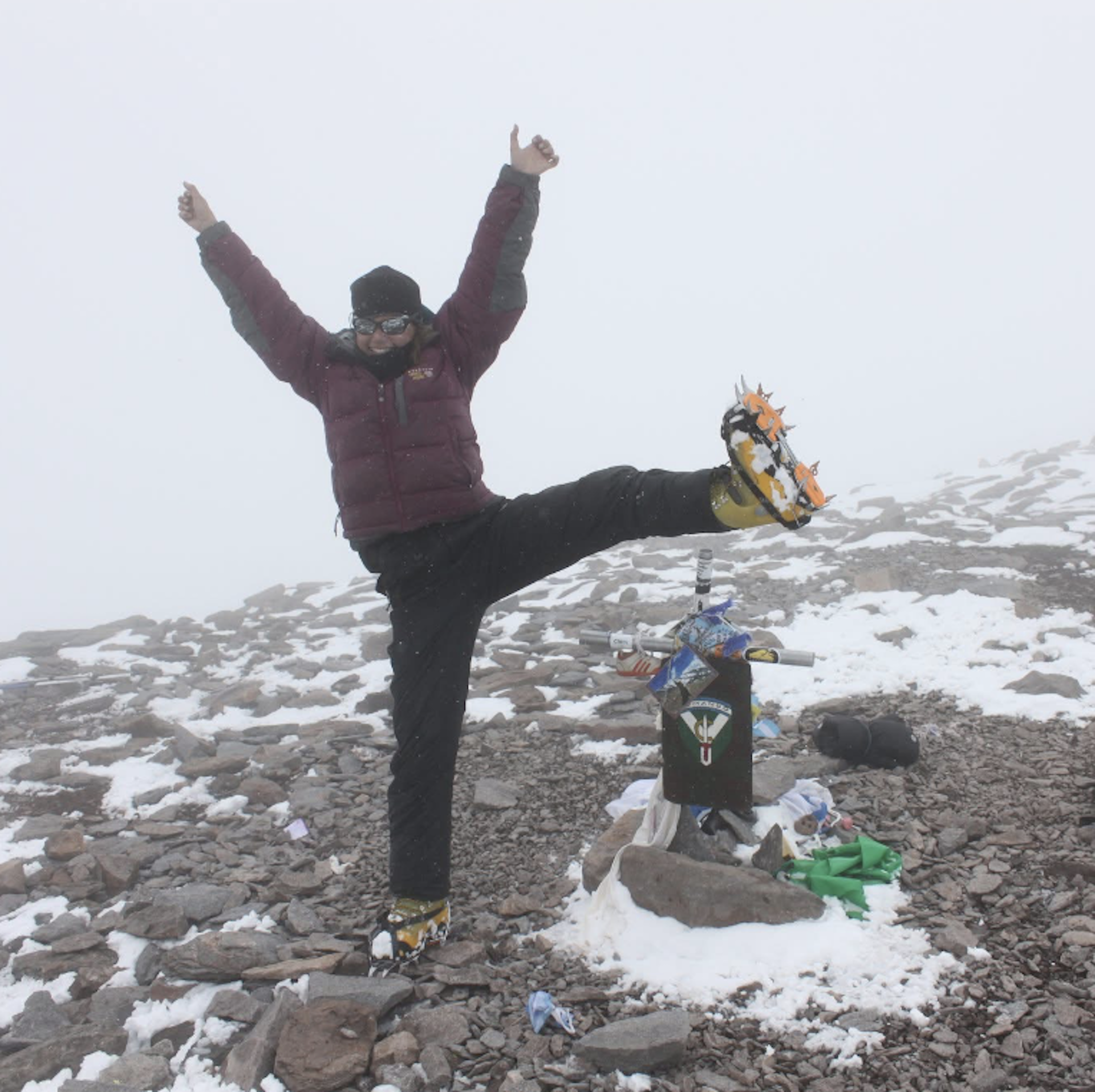 Summit Aconcagua Celebration.png