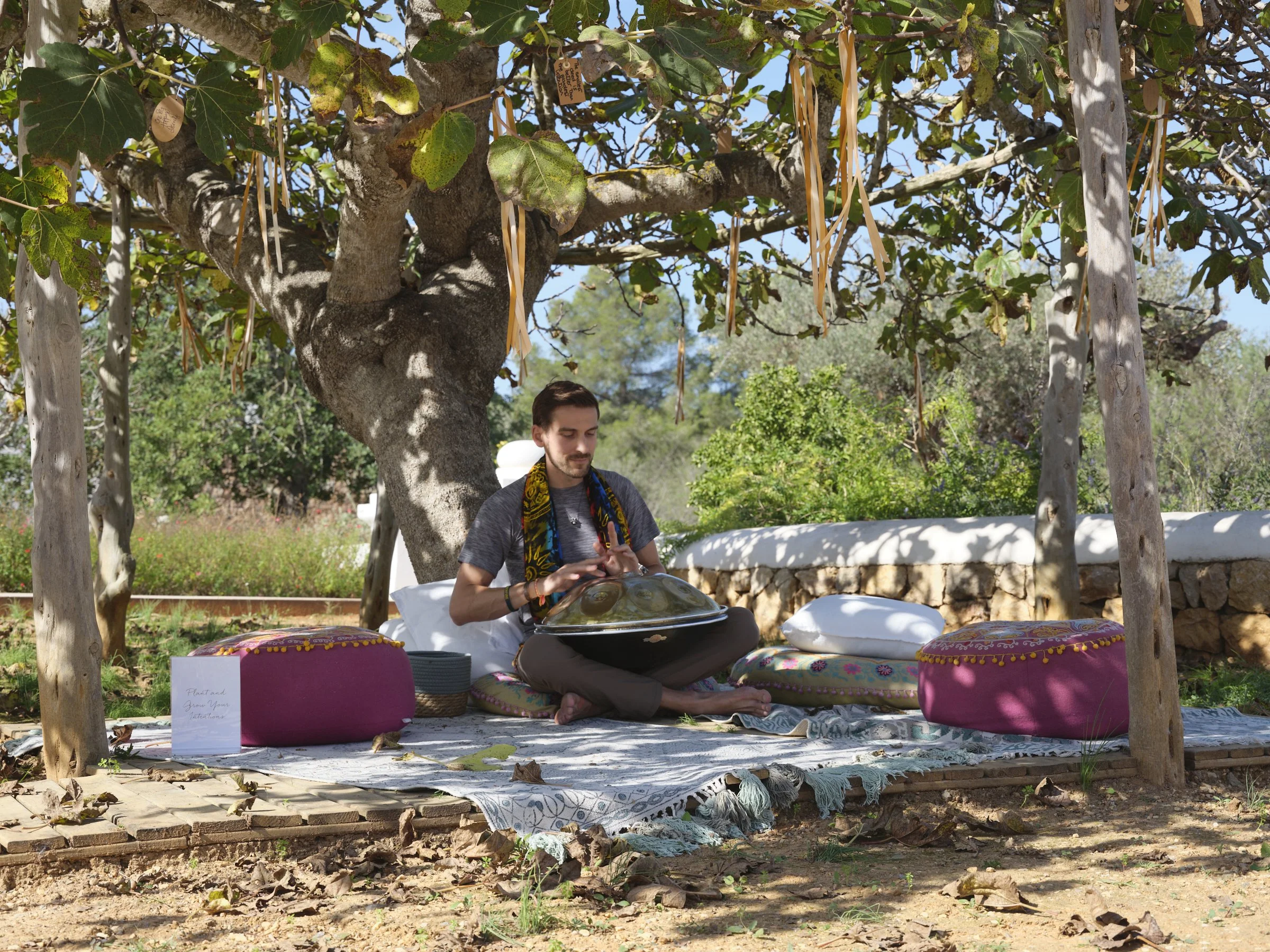 THE HEALING POWER OF NATURE: INSIDE THE SYNERGY 2026 PROGRAMME