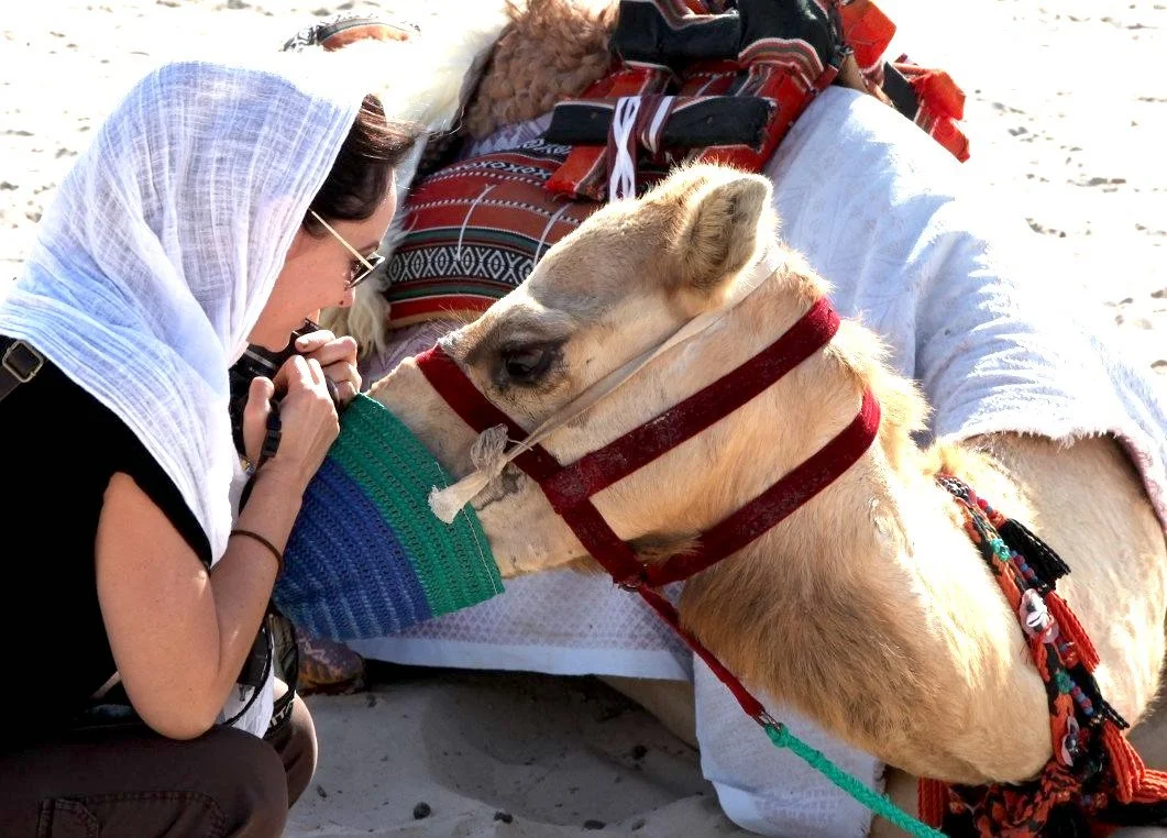 camel nuzzle.jpg