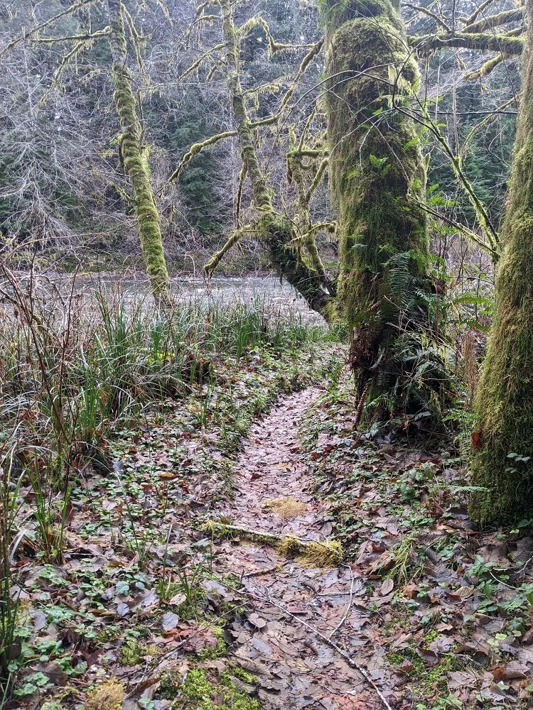 small path.jpg