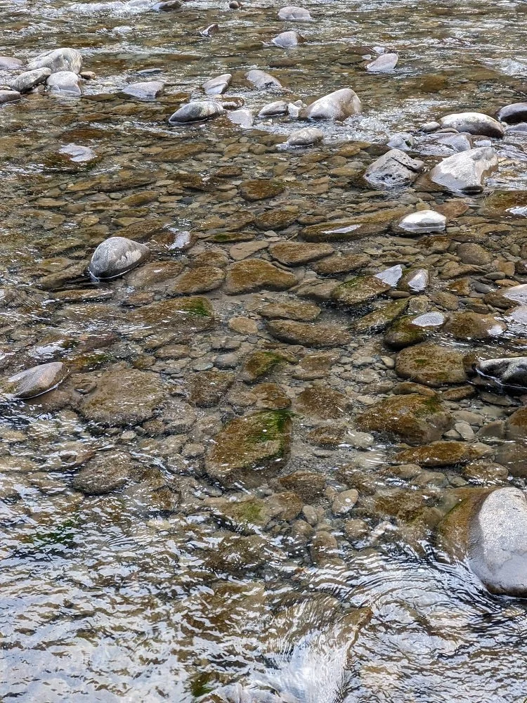 quiet river.jpg
