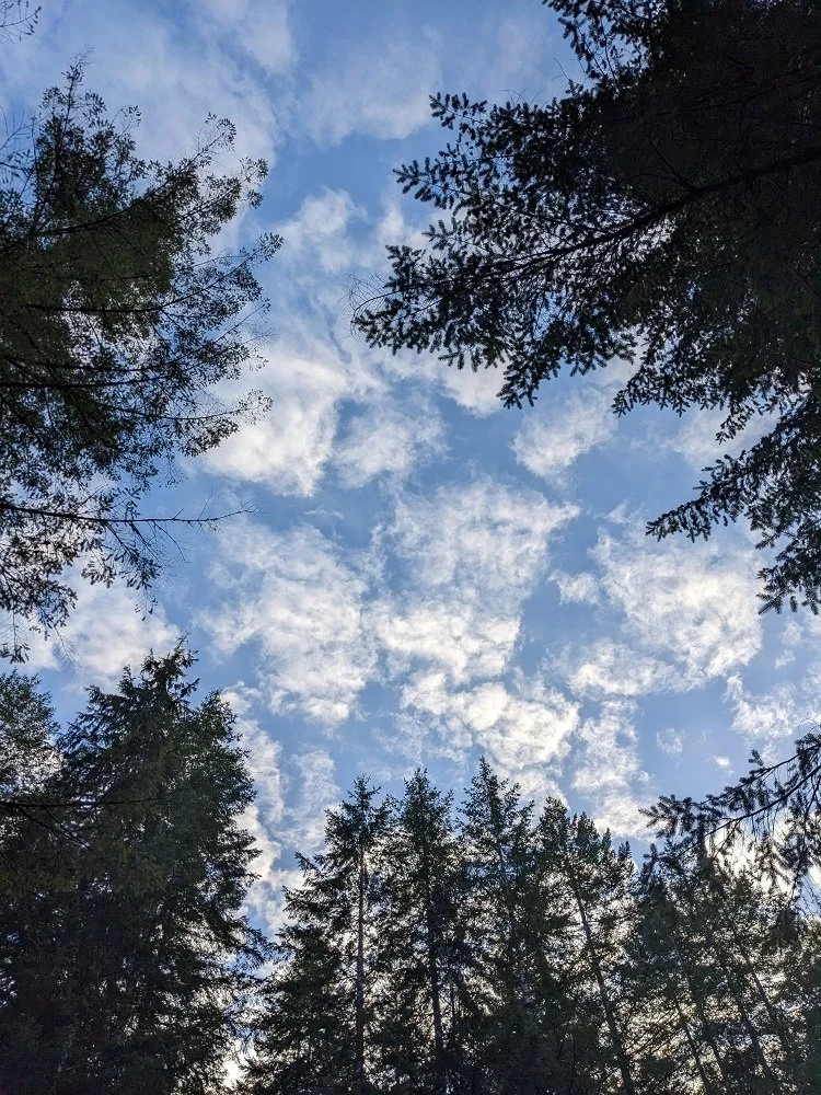 magic skies.jpg