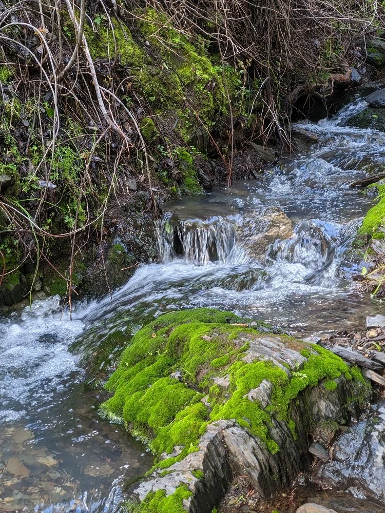 lower mossy falls with mossy stone.jpg