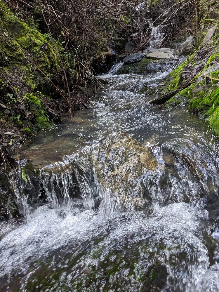 lower mossy falls looking up.jpg