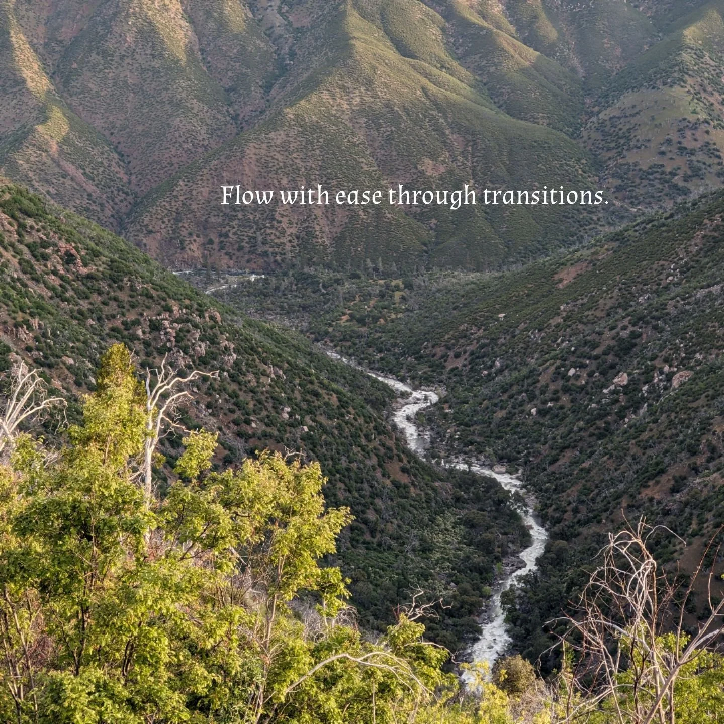 flow with ease through transitions.jpg