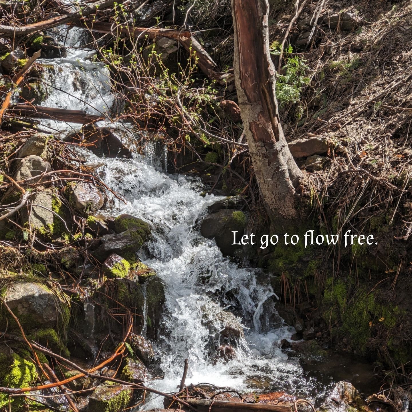 Let go to flow free..jpg