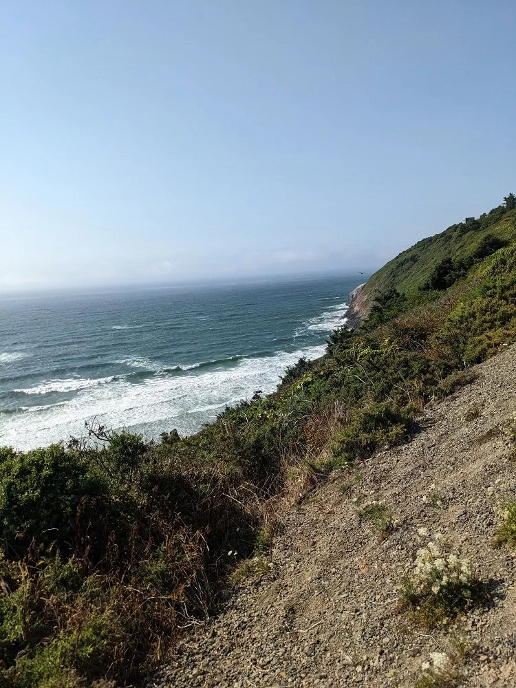 Oregon Coast Left.jpg