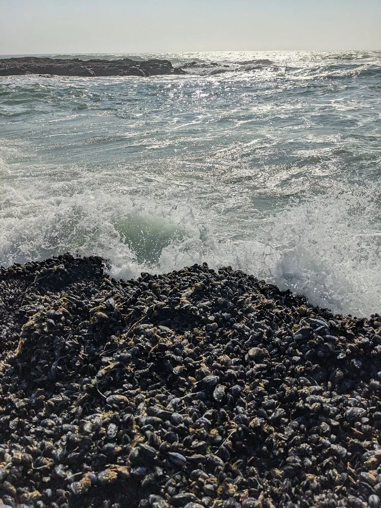 Oregon Coast hike waves.jpg