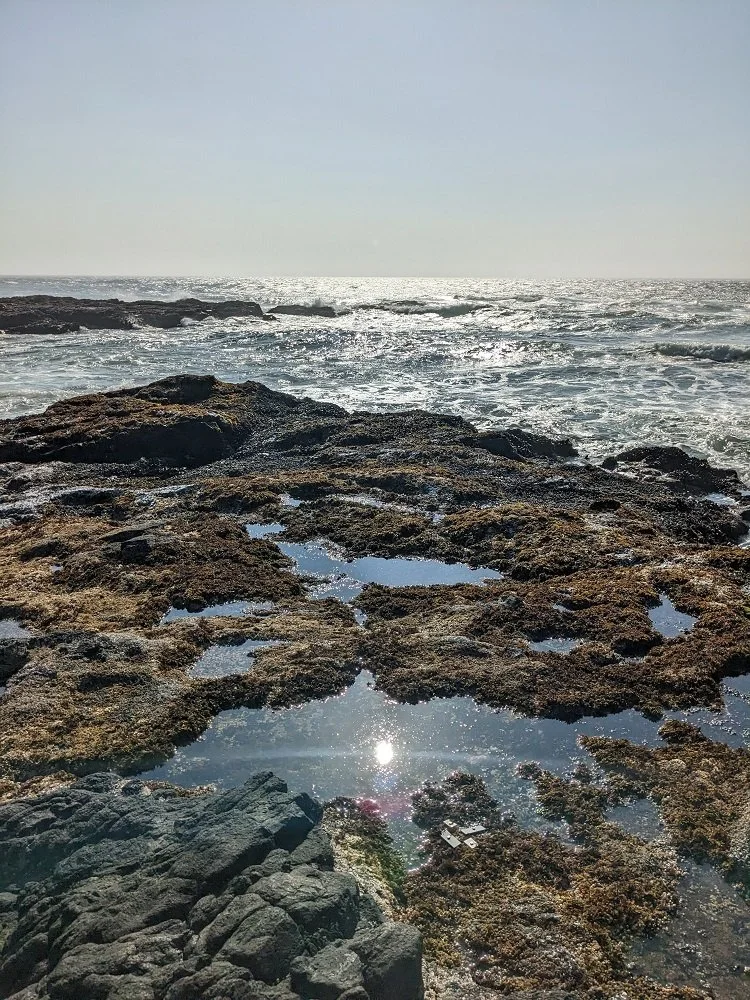Oregon Coast hike reflection.jpg