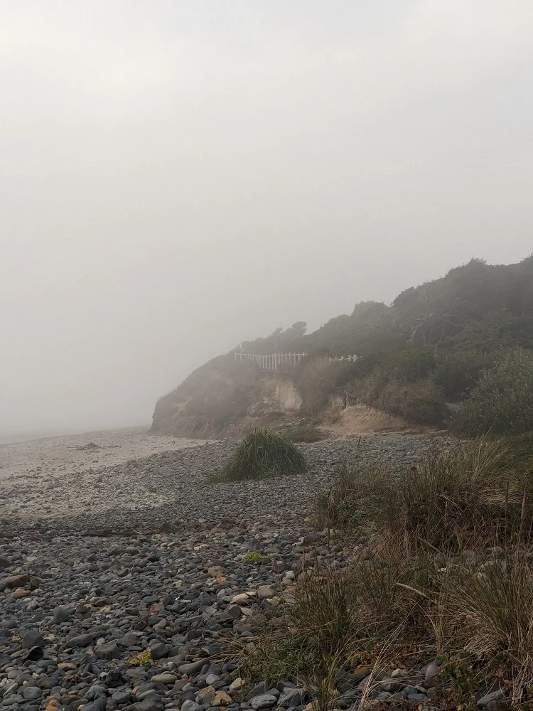 Oregon Coast fog.jpg