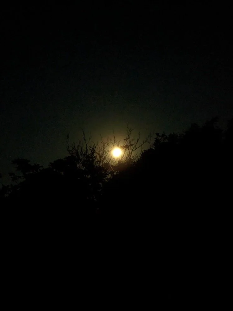 Full Blue Moon.jpg