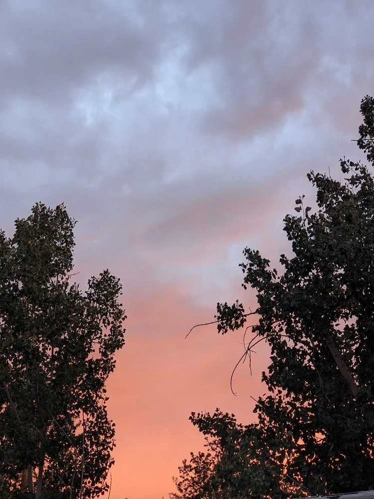 pink skies.jpg