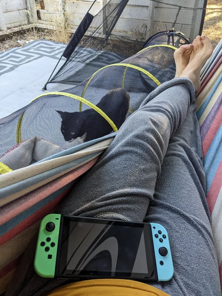 switch.jpg