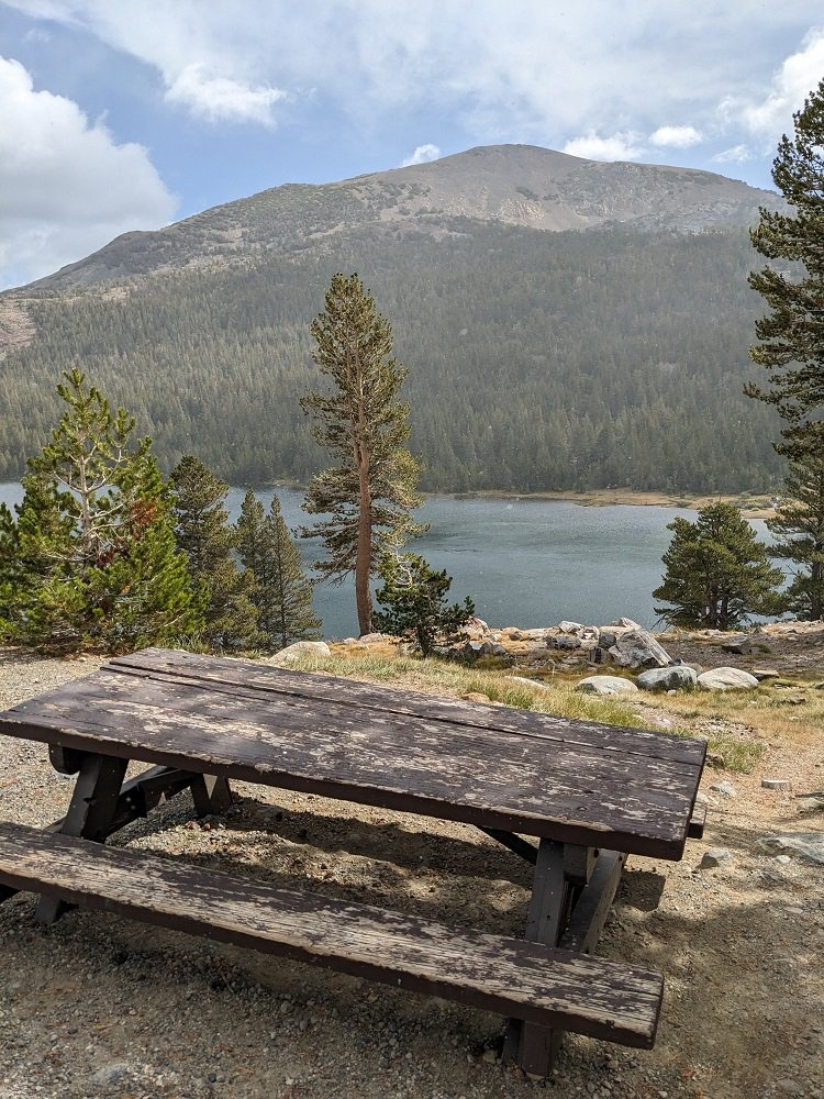 Tioga Lake picnic table.jpg