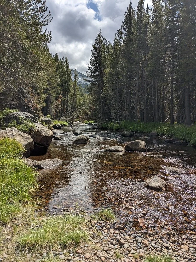 River upflow.jpg
