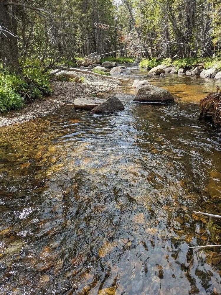 River downflow.jpg