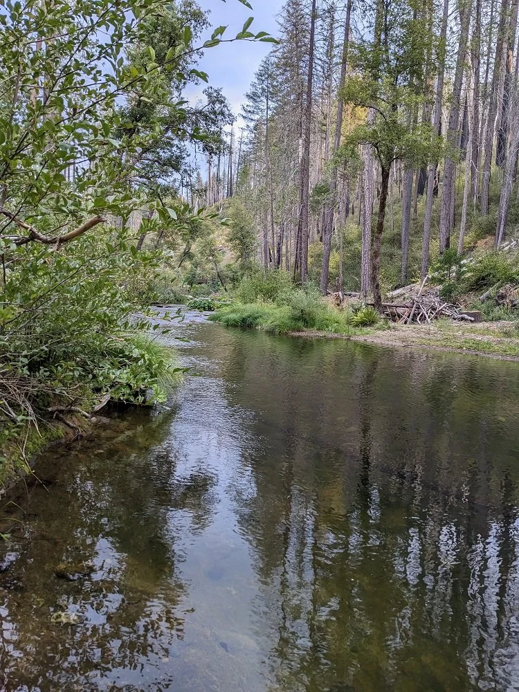 River Upstream.jpg