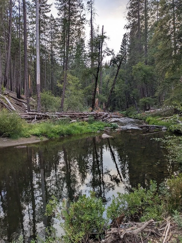 River Reflection.jpg