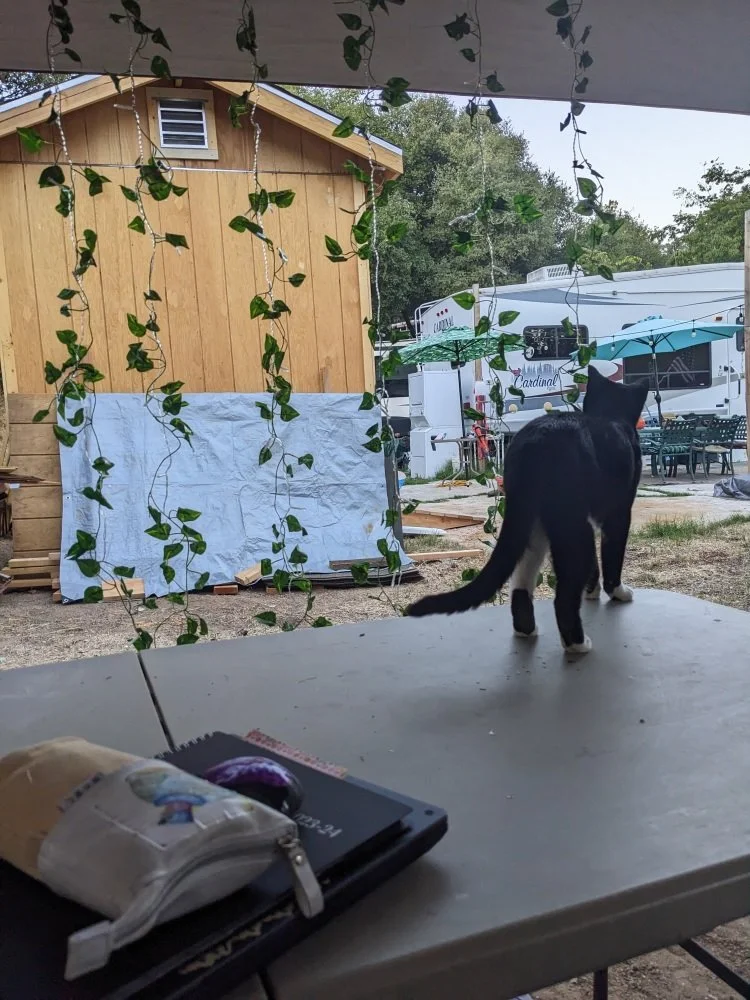 tent leaves.jpg