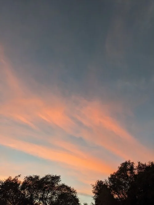 evening+skies.jpg